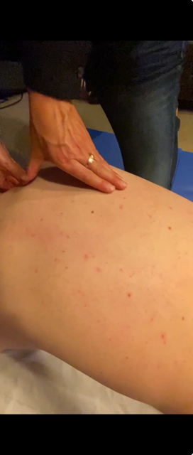 shiatsu-gimont